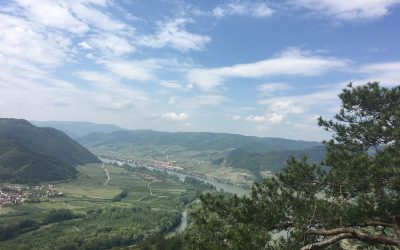 Vogelbergsteig Wachau