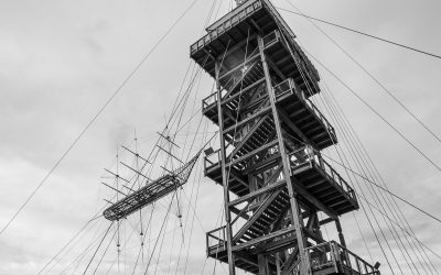 Sinnesrausch Linz 2019