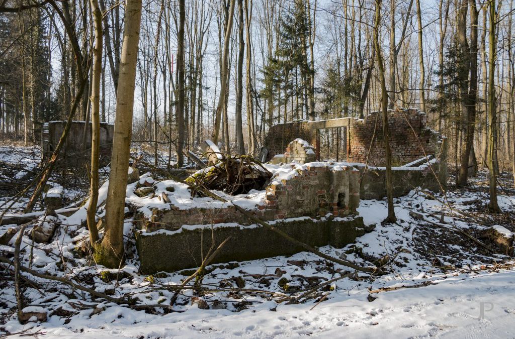 Fotoreportage Vergessene Orte lebendig machen