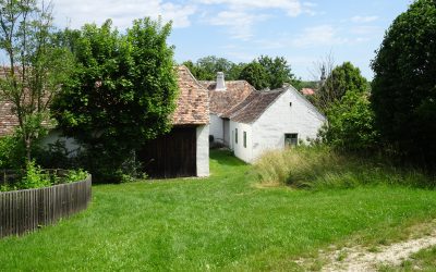 Idyllisches Landleben mit einem Hauch Lost Places